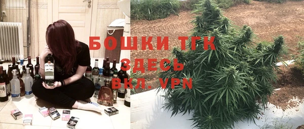 PSILOCYBIN Абдулино